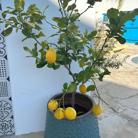 Appartement Little Stone House