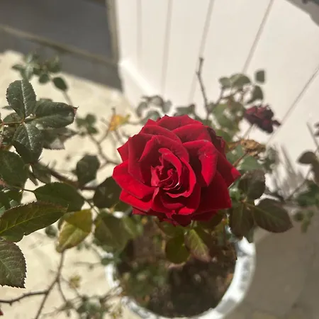 דירה Little Stone House Lympia