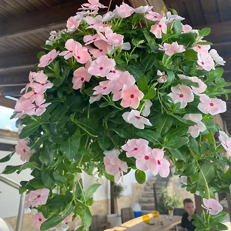 Apartament Little Stone House *