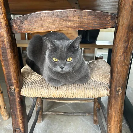 Appartement Little Stone House