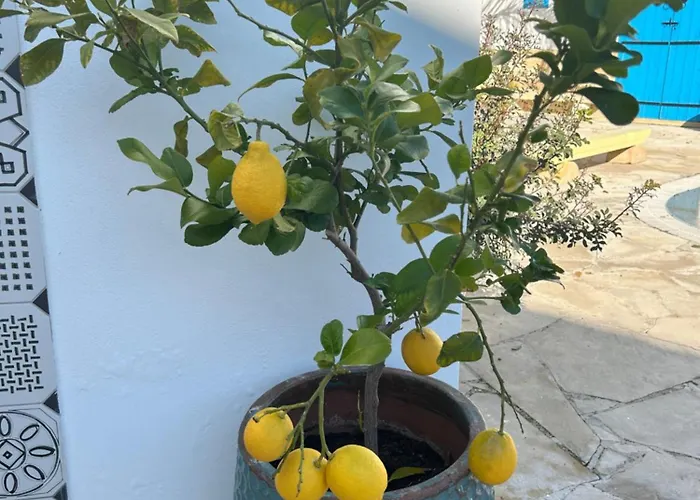 アパート Little Stone House