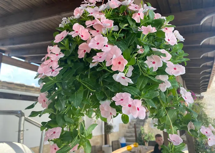 アパート Little Stone House *