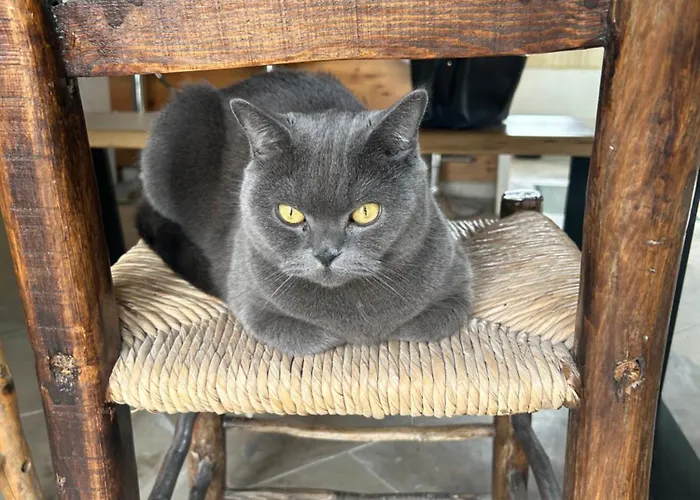 アパート Little Stone House